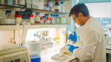Diagnostic Clues Found for PAH